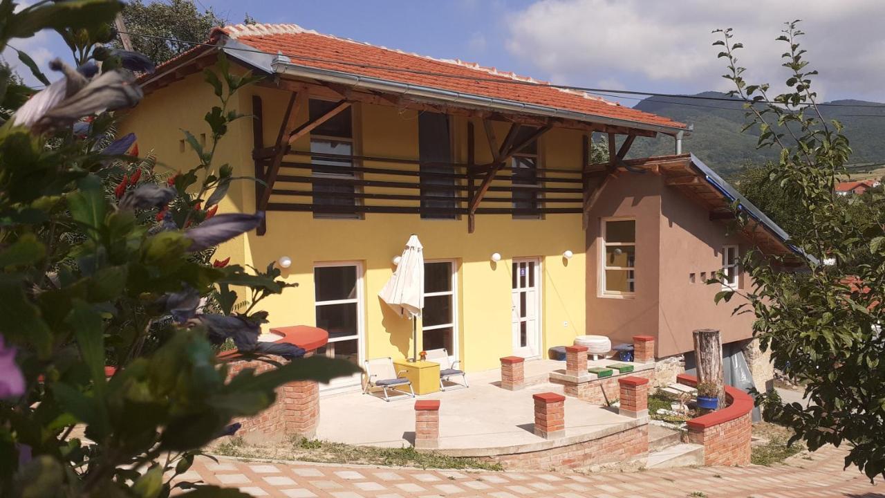 Village House Moo Moo Vranje Zewnętrze zdjęcie