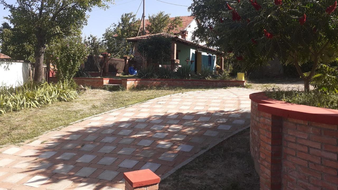 Village House Moo Moo Vranje Zewnętrze zdjęcie